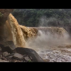 Meet your Posher, Janet